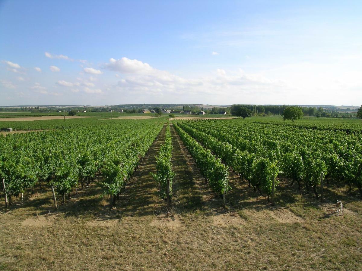 La Riche Landreau 아파트 외부 사진